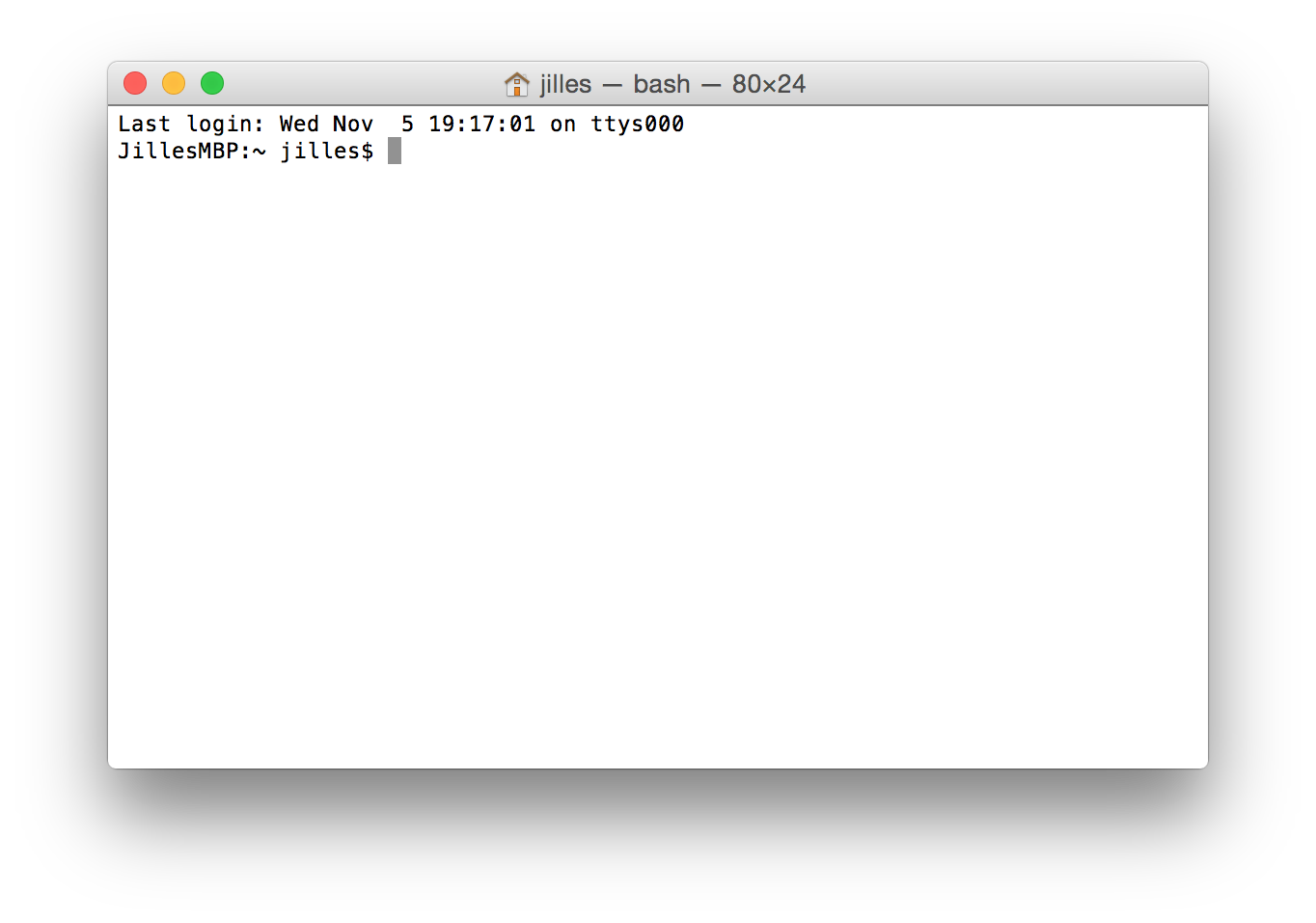 Plain default terminal showing basic bash prompt with minimal customization